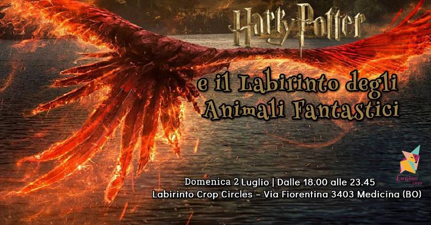 Harry potter e il labirinto degli animali fantastici – domenica 2 luglio